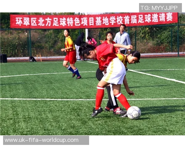 探索日本花式足球的魅力与技艺传承之路 探索日本花式足球的魅力与技艺传承之路